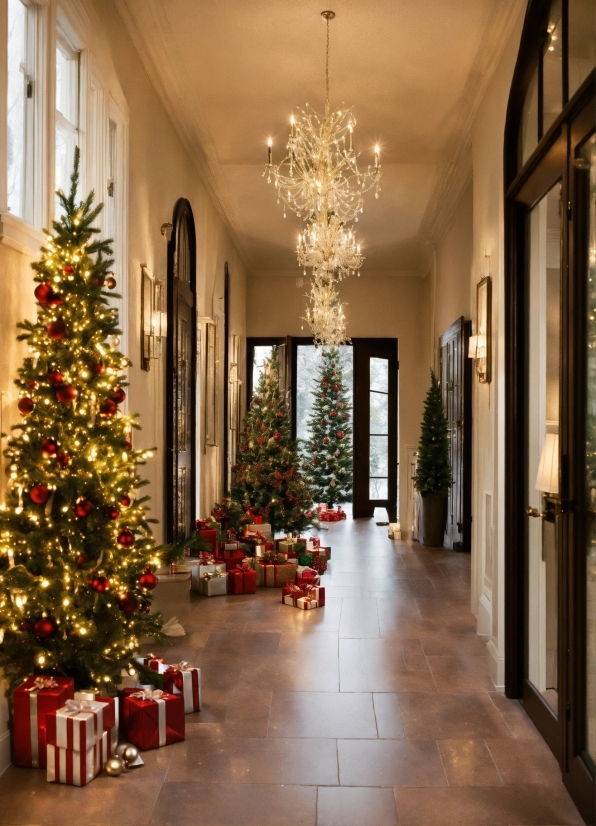 Christmas Tree, Property, Decoration, Light, Plant, Christmas Ornament
