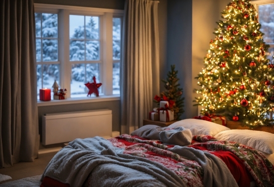 Christmas Tree, Property, Furniture, Window, Comfort, Wood