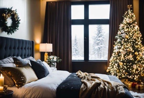 Christmas Tree, Property, Plant, Furniture, Window, Light
