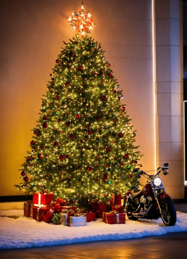 Christmas Tree, Tire, Wheel, Christmas Ornament, Light, Plant