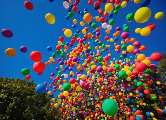Colorfulness, Sky, Balloon, Tree, Party Supply, Window
