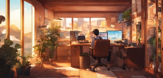 Computer, Furniture, Building, Plant, Computer Monitor, Window