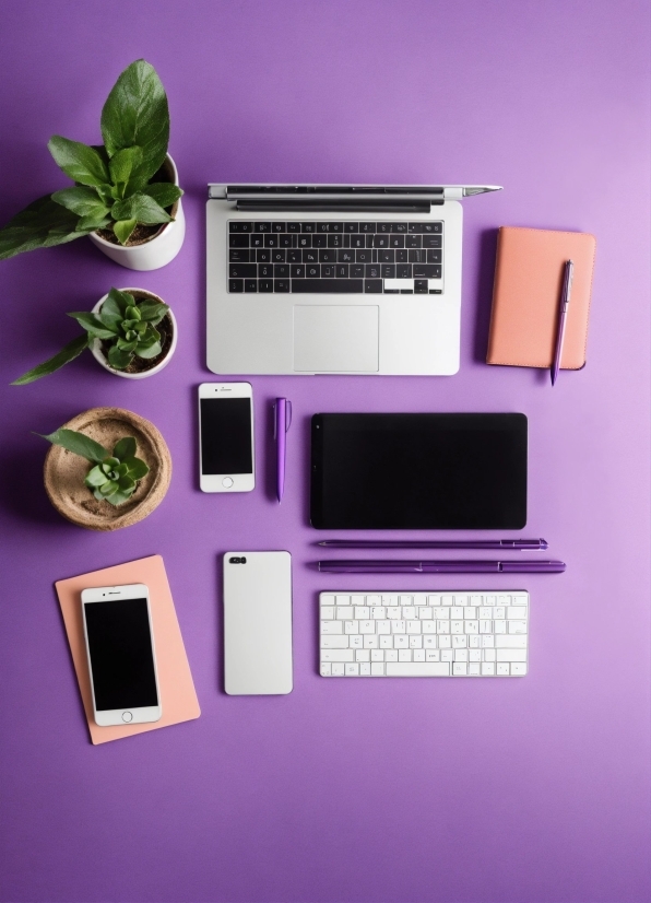 Computer, Personal Computer, Computer Keyboard, Output Device, Input Device, Purple