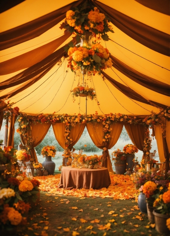 Decoration, Flower, Plant, Orange, Amber, Textile