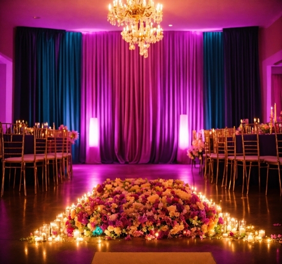 Decoration, Plant, Light, Table, Purple, Lighting