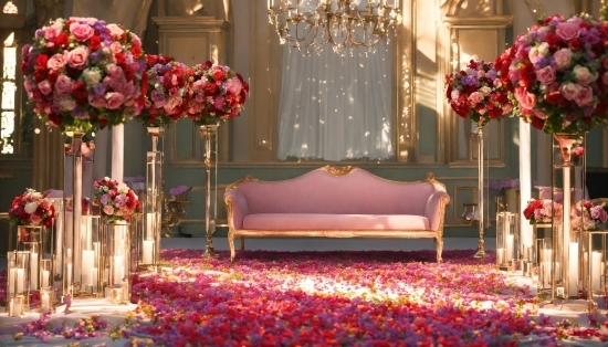 Decoration, Property, Furniture, Flower, Purple, Plant