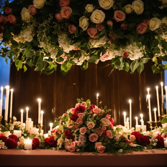 Flower, Candle, Decoration, Plant, Lighting, Petal