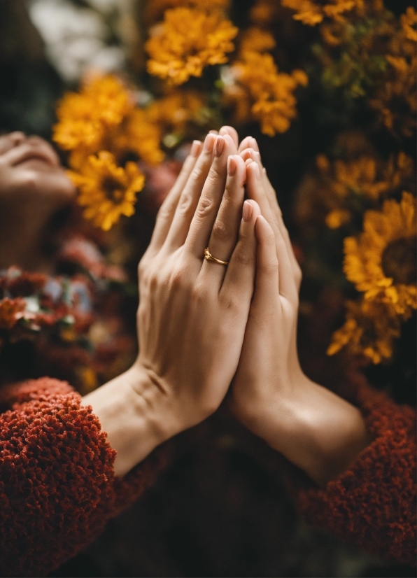 Flower, Hand, Plant, People In Nature, Yellow, Finger