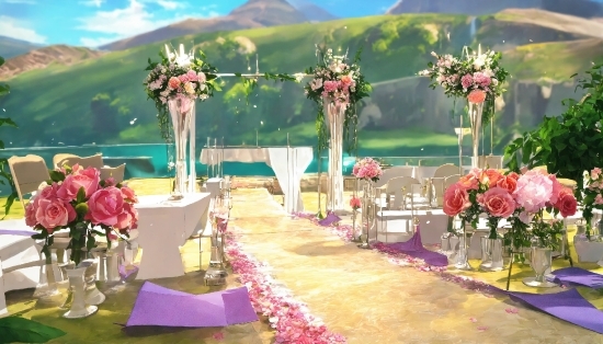 Flower, Plant, Decoration, Petal, Flower Arranging, Tablecloth