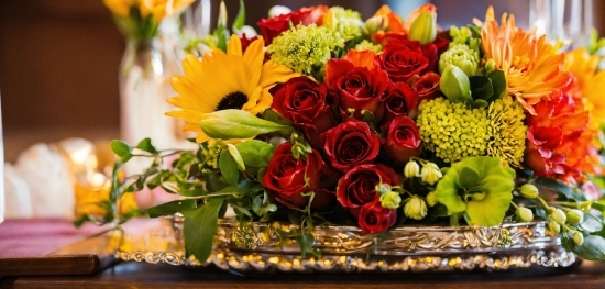 Flower, Plant, Petal, Yellow, Wedding Ceremony Supply, Flower Arranging