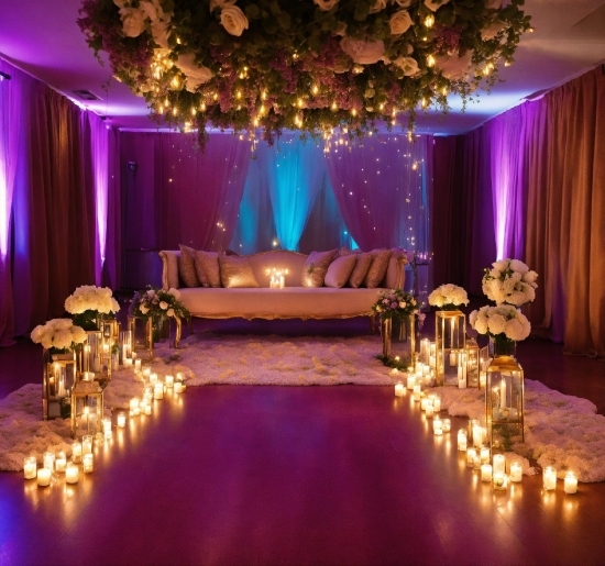 Furniture, Decoration, Purple, Table, Plant, Curtain