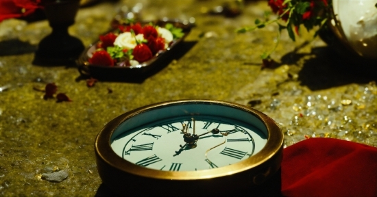 Georgia O Keeffe, Watch, Leaf, Botany, Clock, Wood