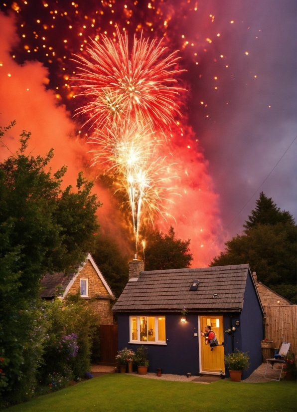 Graphic Design Home Office, Sky, Plant, Fireworks, Light, Nature