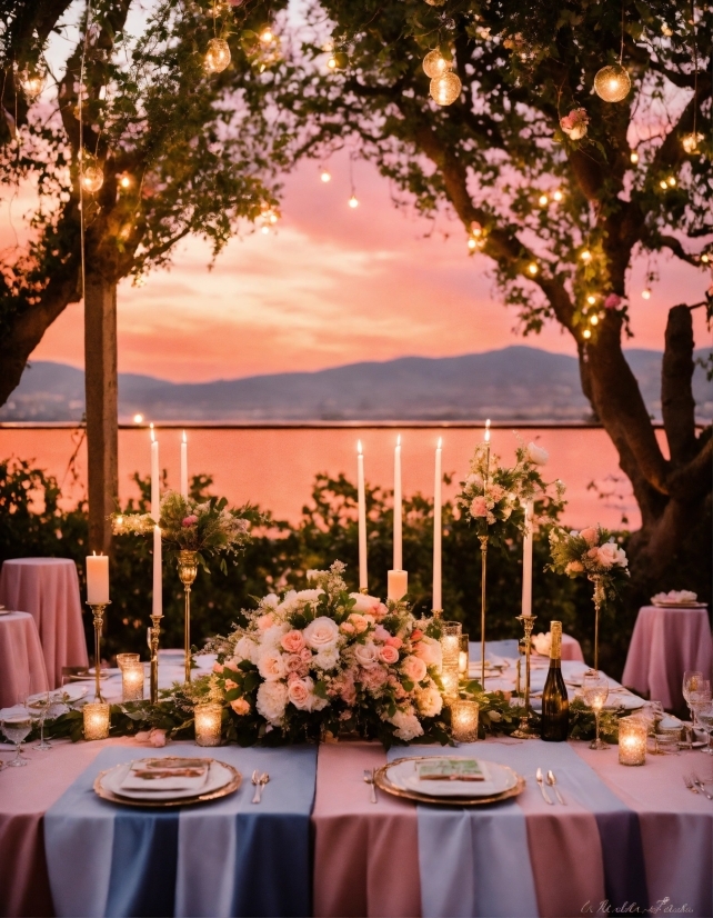 Graphic Design Strategy, Table, Plant, Tableware, Sky, Furniture
