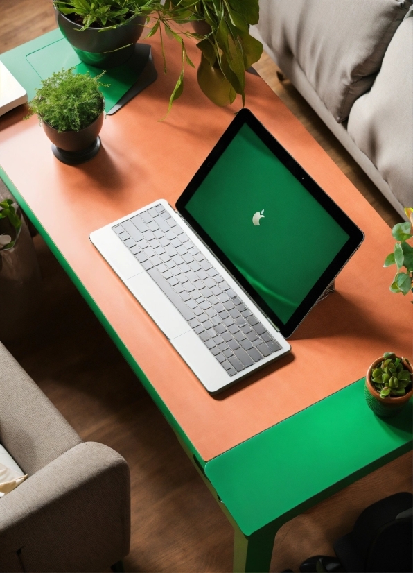 Green, Plant, Computer, Furniture, Personal Computer, Table