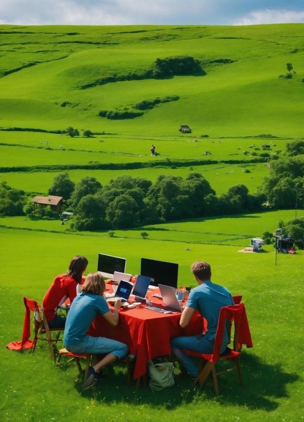 Jeans, Table, Green, Laptop, People In Nature, Natural Environment