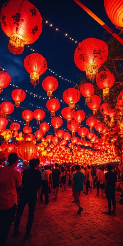 Open Canva, Light, Lantern, World, Orange, Entertainment