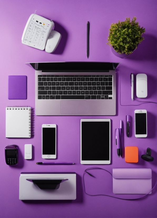 Personal Computer, Purple, Output Device, Houseplant, Violet, Gadget