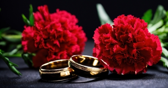 Petal, Body Jewelry, Flower, Red, Wedding Ceremony Supply, Jewellery
