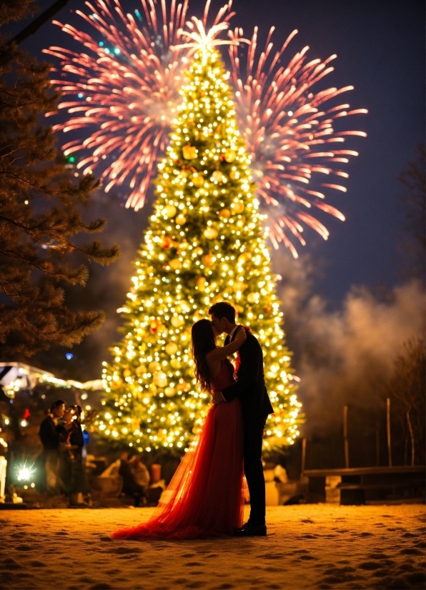 Photograph, Christmas Tree, Light, Nature, Fireworks, People In Nature