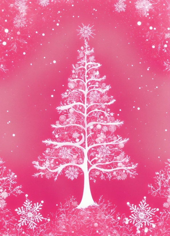 Plant, Christmas Ornament, Tree, Purple, Branch, Holiday Ornament
