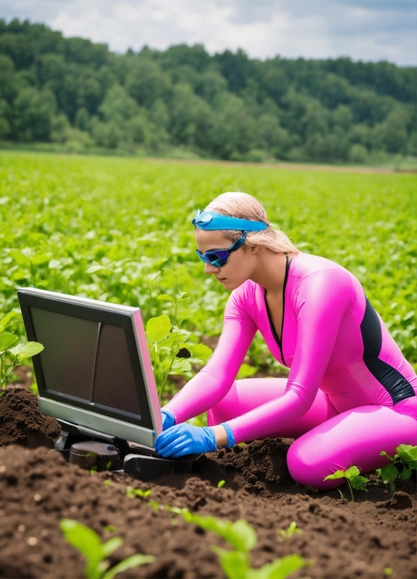 Plant, Computer, Personal Computer, Wheel, Sky, Goggles