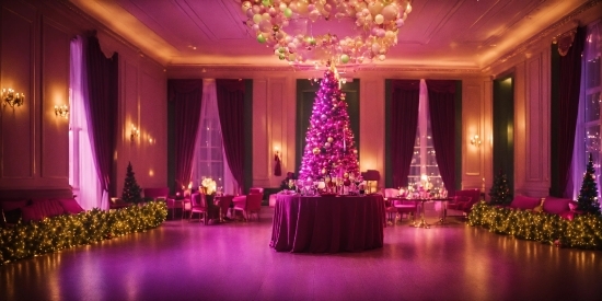 Plant, Decoration, Furniture, Purple, Table, Chair