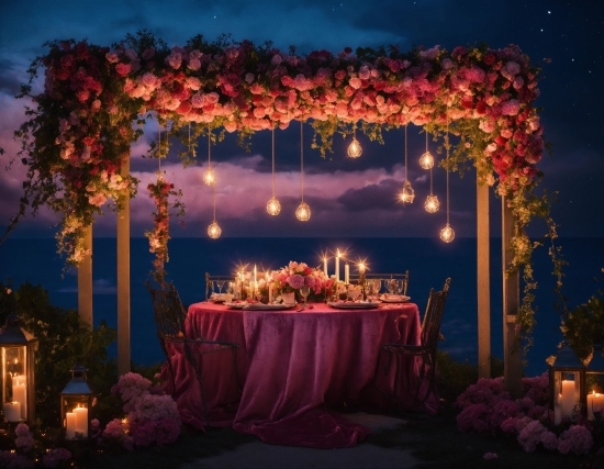 Plant, Decoration, Table, Purple, Branch, Orange