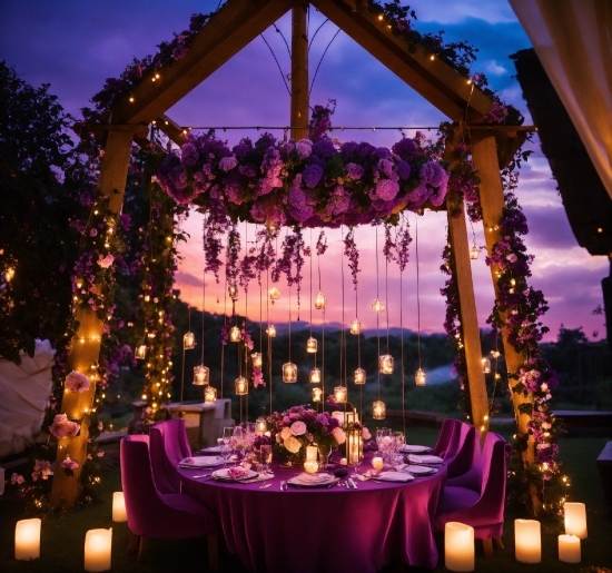 Plant, Decoration, Table, Sky, Purple, Flower