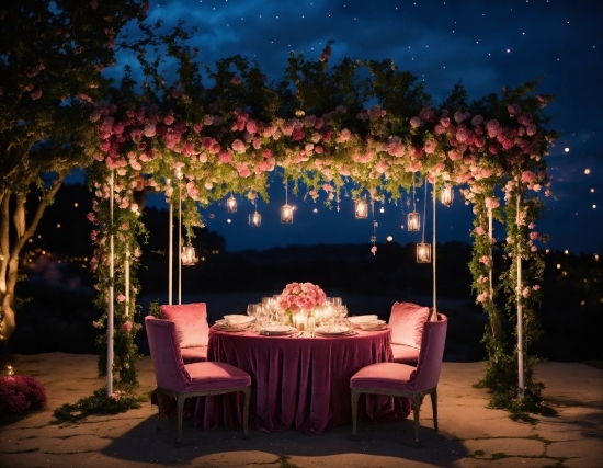 Plant, Furniture, Decoration, Table, Sky, Chair