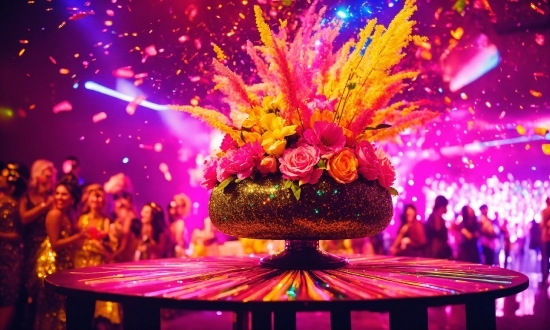 Plant, Purple, Entertainment, Decoration, Flower, Pink