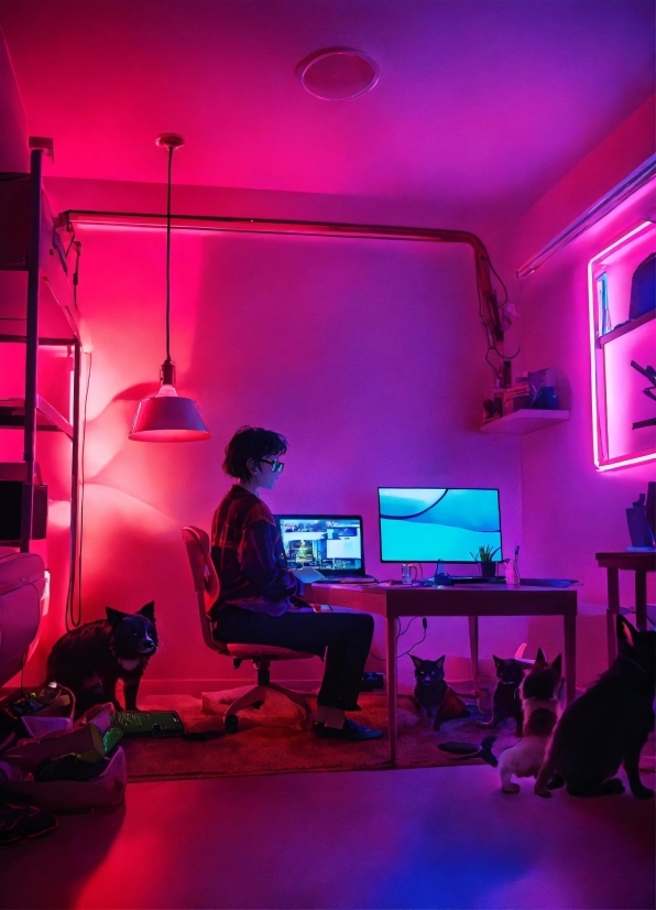 Purple, Personal Computer, Computer, Lighting, Entertainment, Violet