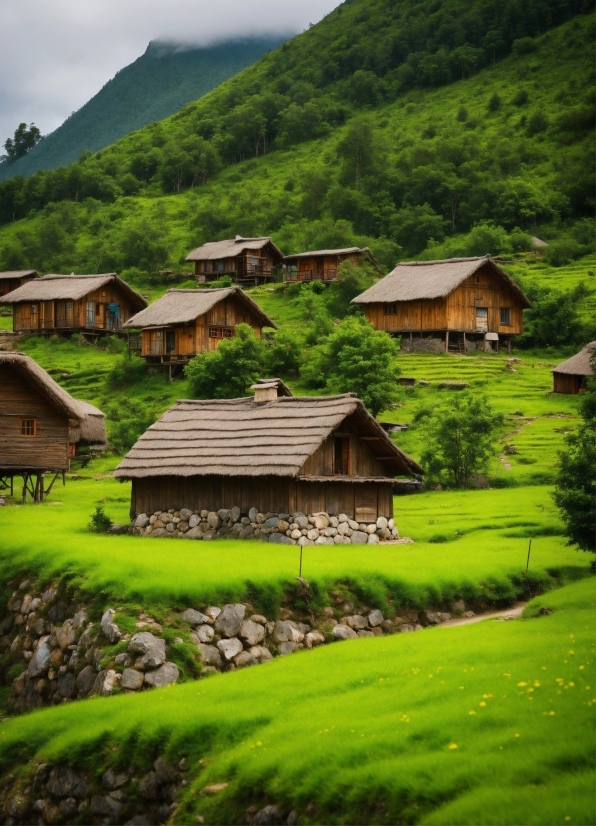 Shutterstock Images, Plant, Mountain, Property, Green, Cloud