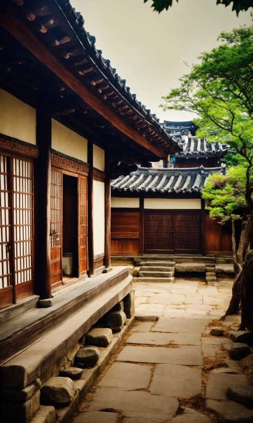 Sky, Botany, Wood, Temple, Chinese Architecture, Wall