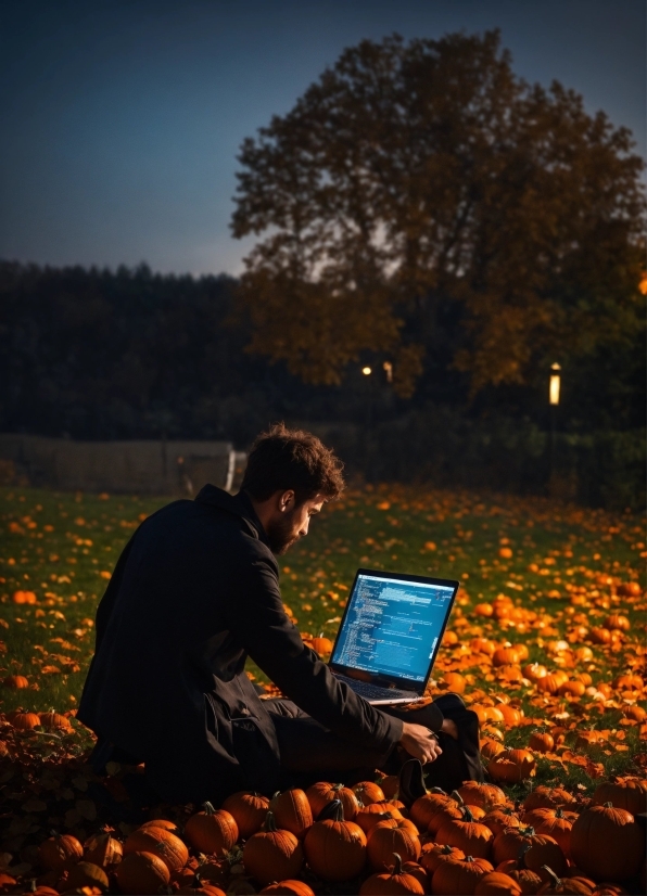 Sky, Laptop, Plant, Computer, People In Nature, Flash Photography