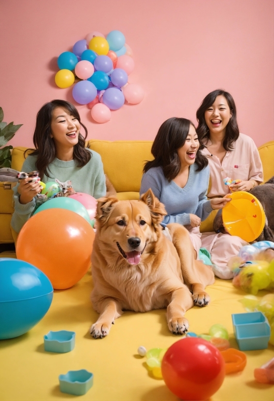 Smile, Dog, Photograph, Toy, Yellow, Carnivore