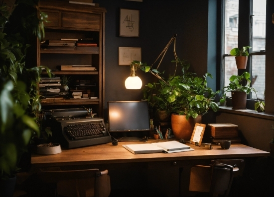 Table, Plant, Property, Furniture, Computer, Building