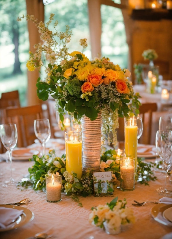Tableware, Flower, Table, Decoration, Plant, Stemware