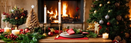 Tableware, Table, Plant, Dishware, Gas, Christmas Decoration