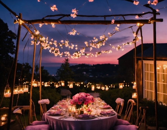 Vectornator Templates, Cloud, Table, Atmosphere, Photograph, Sky