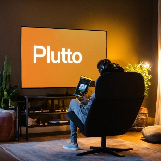 Ai Picture Website, Plant, Houseplant, Gadget, Couch, Audio Equipment