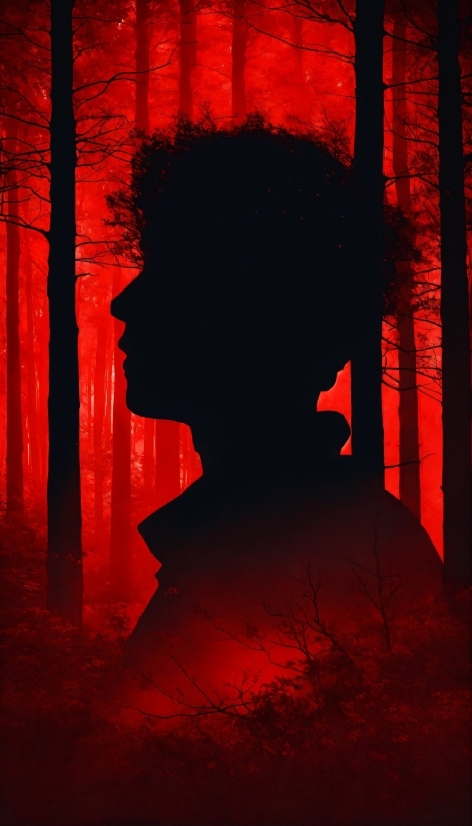 Download Illustrator Getintopc, Flash Photography, Red, Font, Art, Tints And Shades