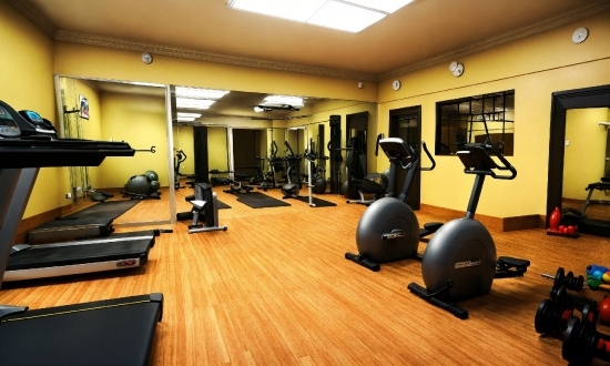 Exercise Equipment, Building, Treadmill, Exercise, Exercise Machine, Flooring