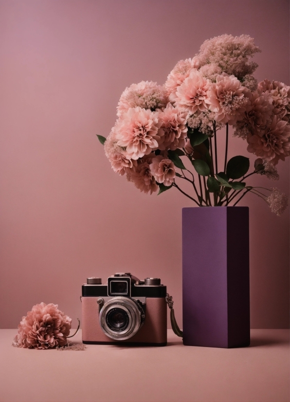 Flower, Plant, Flowerpot, Vase, Camera Lens, Petal