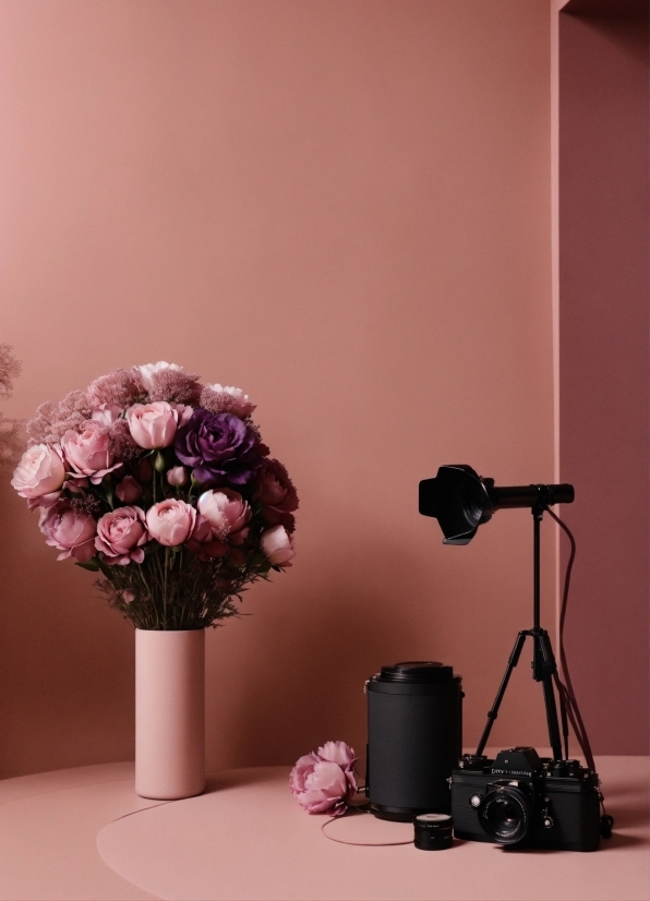 Flower, Plant, Vase, Camera Lens, Petal, Camera