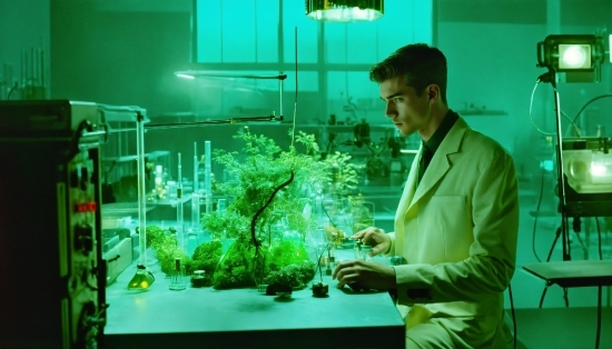 Green, Plant, Organism, Terrestrial Plant, Aquatic Plant, Science