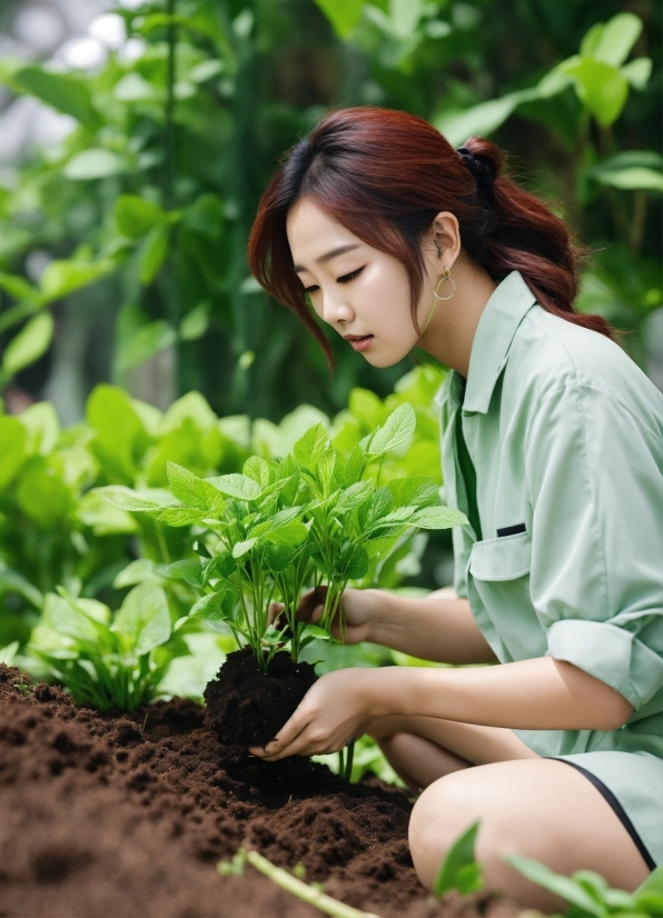 Hair, Plant, People In Nature, Grass, Leaf Vegetable, Terrestrial Plant