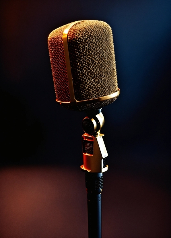 Microphone, Audio Equipment, Microphone Stand, Entertainment, Electronic Device, Event