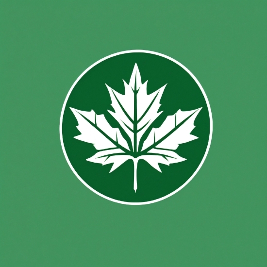 Momos Images, Tree, Terrestrial Plant, Font, Symbol, Grass