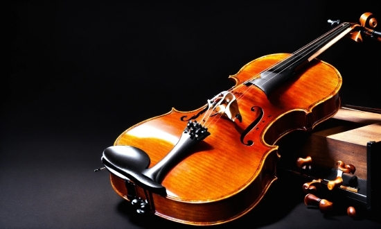 Musical Instrument, Violin, Violin Family, String Instrument, Fiddle, String Instrument